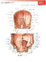 Sobotta  Atlas of Human Anatomy  Trunk, Viscera,Lower Limb Volume2 2006, page 78